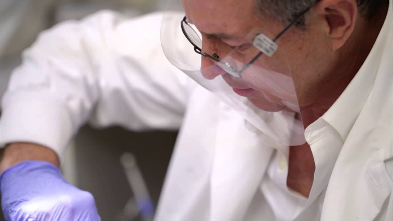 Mint Dental - Streamline Dental Solutions